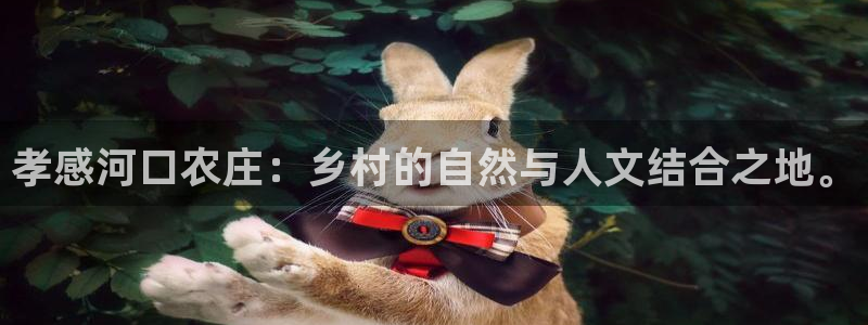 必一体育在线玩