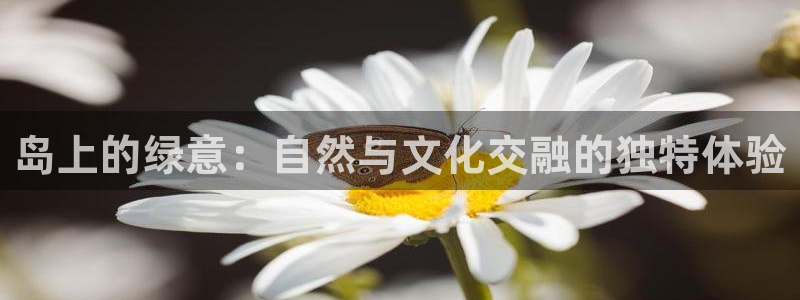 必一体育APP