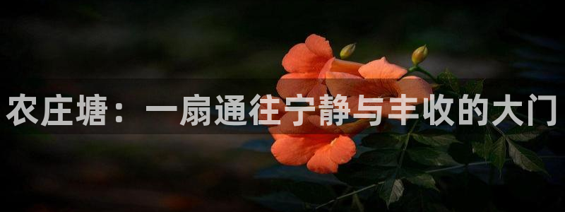 必一体育app下载最新版本苹果