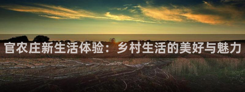 必一运动B-Sport官方网站入口