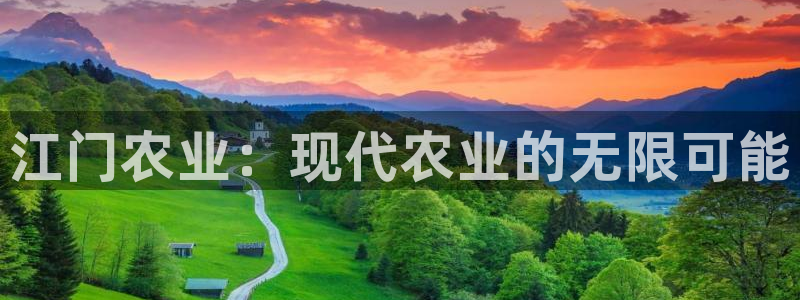 必一体育运动app