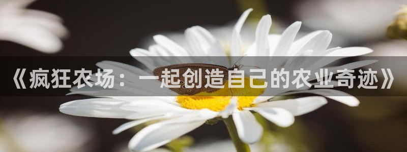必一体育网页登录版官网