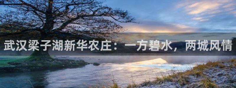 必一体育app官方