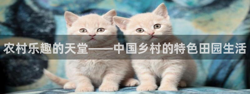 必一运动·(b-sports)官方网站