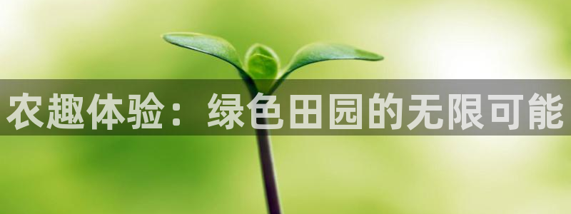 必一体育全站在线登录入口