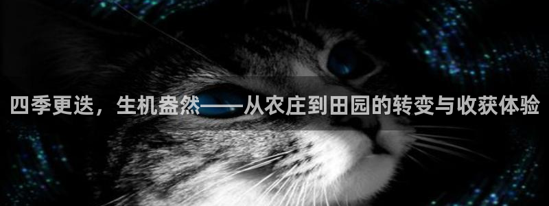 必一体育在线登录