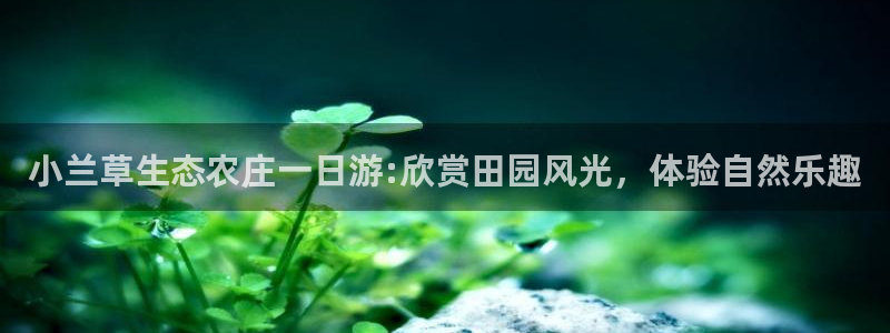 必一运动