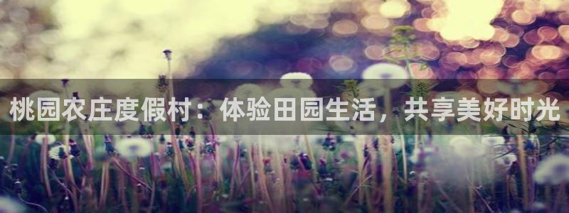 必一体育登录入口APP