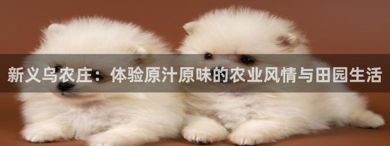必一运动·(b-sports)官方网站