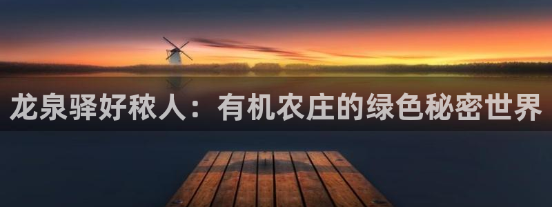 必一体育官网入口