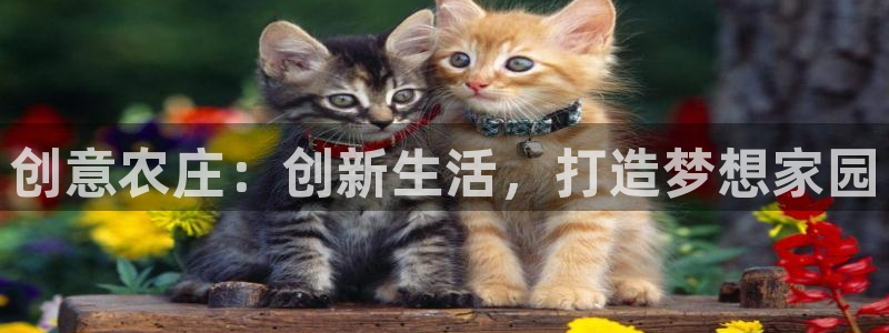 必一体育在线登录