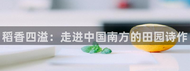 必一体育在线官网