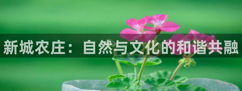 必一体育是啥