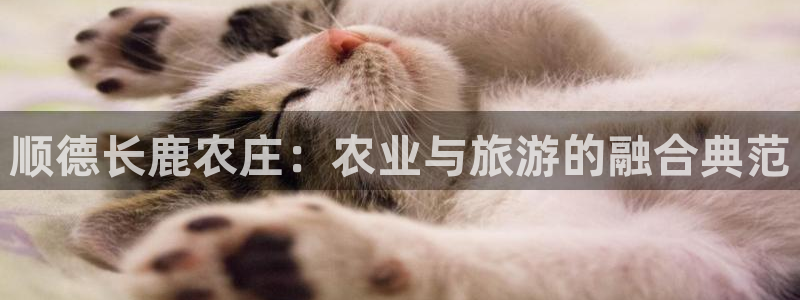 必一体育在线登录