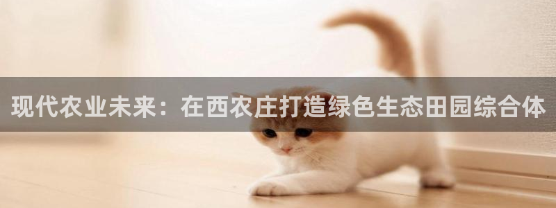 必一体育官网入口