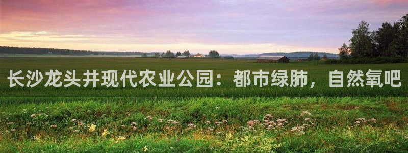必一体育官网网站