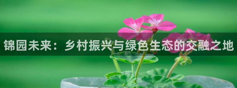 必一体育旧版