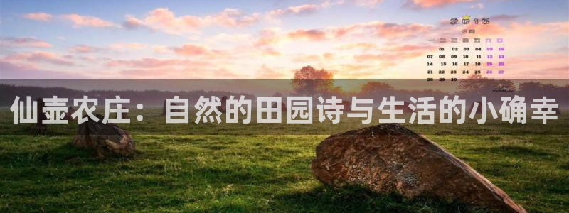必一体育下载入口