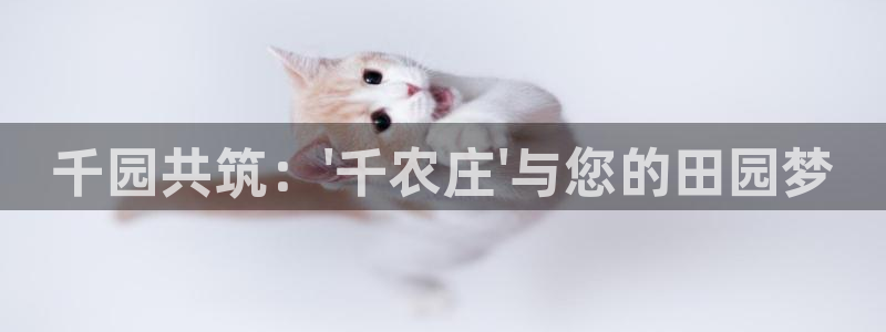 必一体育app下载