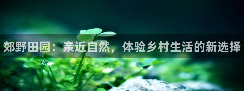 必一体育app下载最新版本苹果