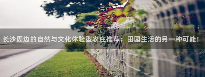 必一体育下载入口