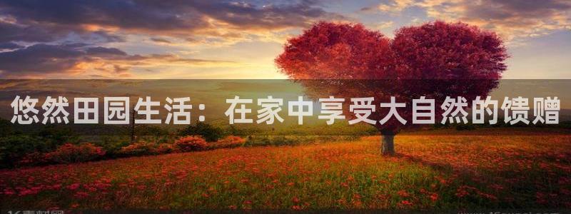 必一体育app官方网站