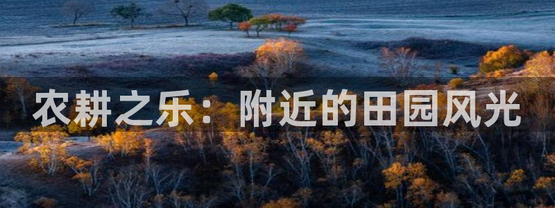 必一体育运动app