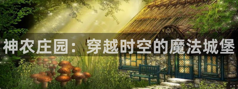 必一体育游戏特色