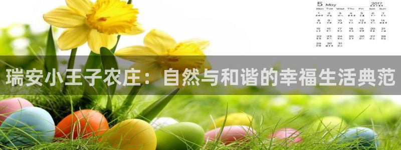 必一体育是哪里的台子