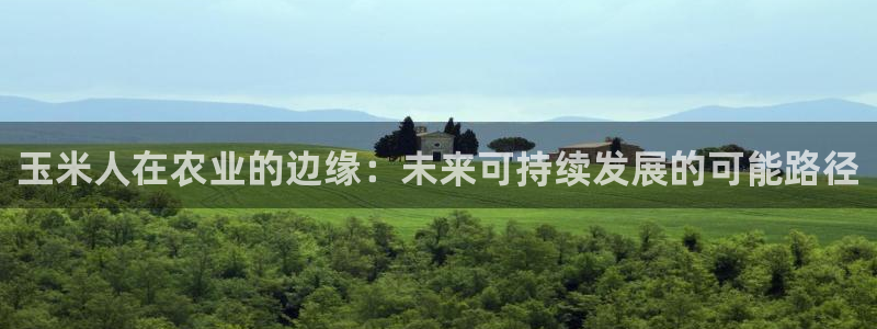 必一体育黑平台