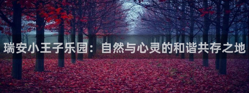 必一体育秀给网