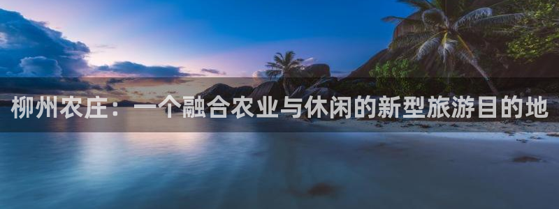 必一体育官网网站