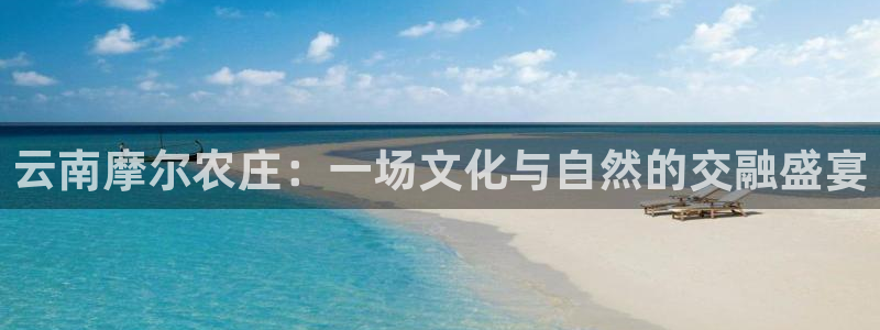 必一体育网页版登录