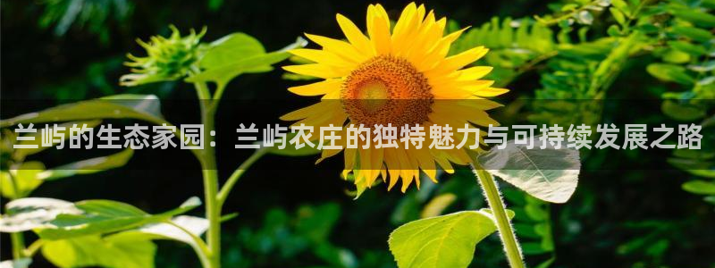 Bsport体育app必一