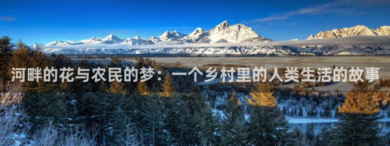 必一体育app下载最新版本