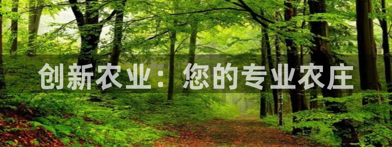 必一体育网页