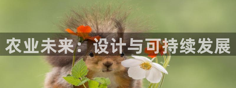 必一运动体育官网