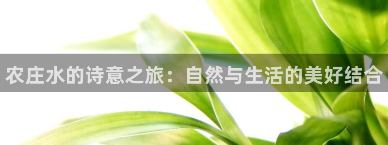 必一运动·(b-sports)官方网站