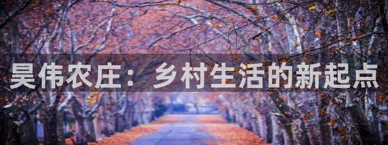 必一体育最新官网入口首页