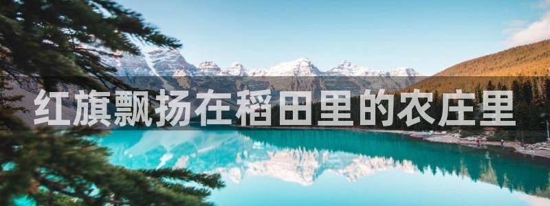 必一运动·体育