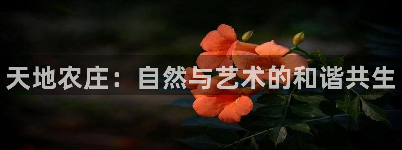 必一体育在哪下
