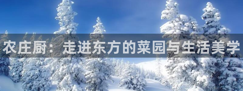 必一运动 b 体育素描版