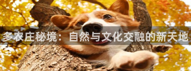 必一体育bsport下载
