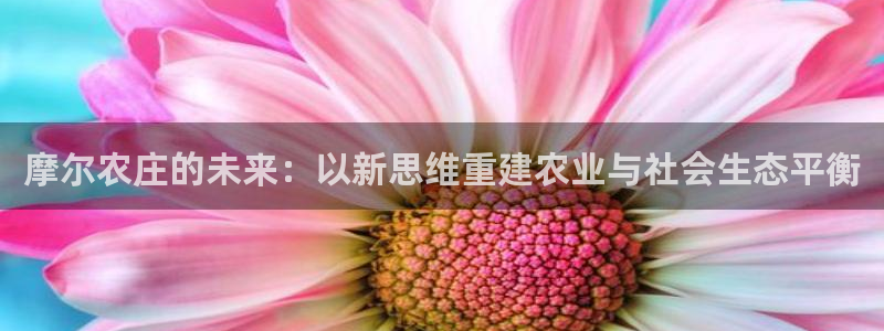 必一体育下载移动版