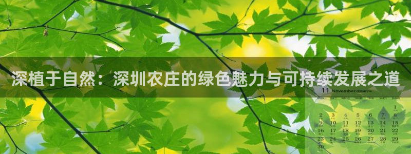 必一体育下载移动版
