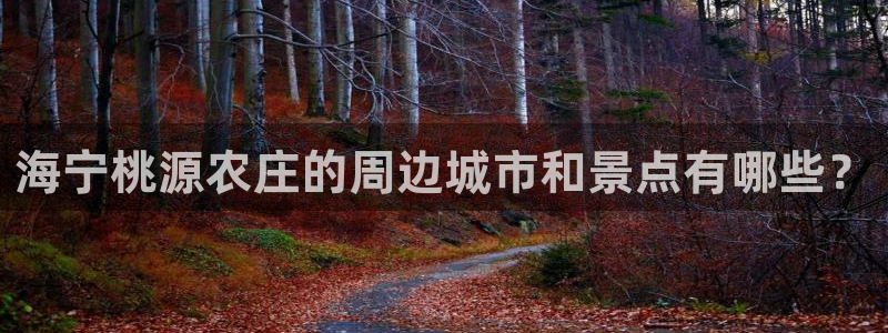 必一体育官网ios下载