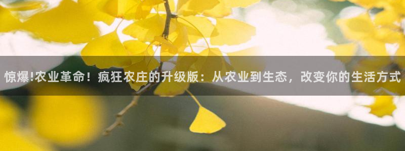 必一体育sport装机吧