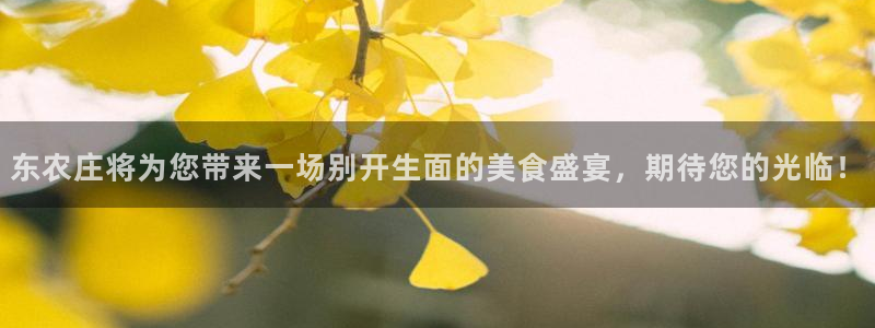 必一体育官网app