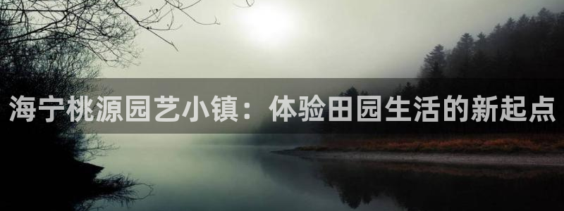必一体育app下载装机吧