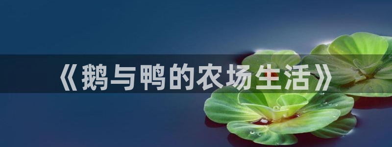 必一运动体育官网下载